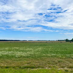 24-07-01 12-20-34 0065